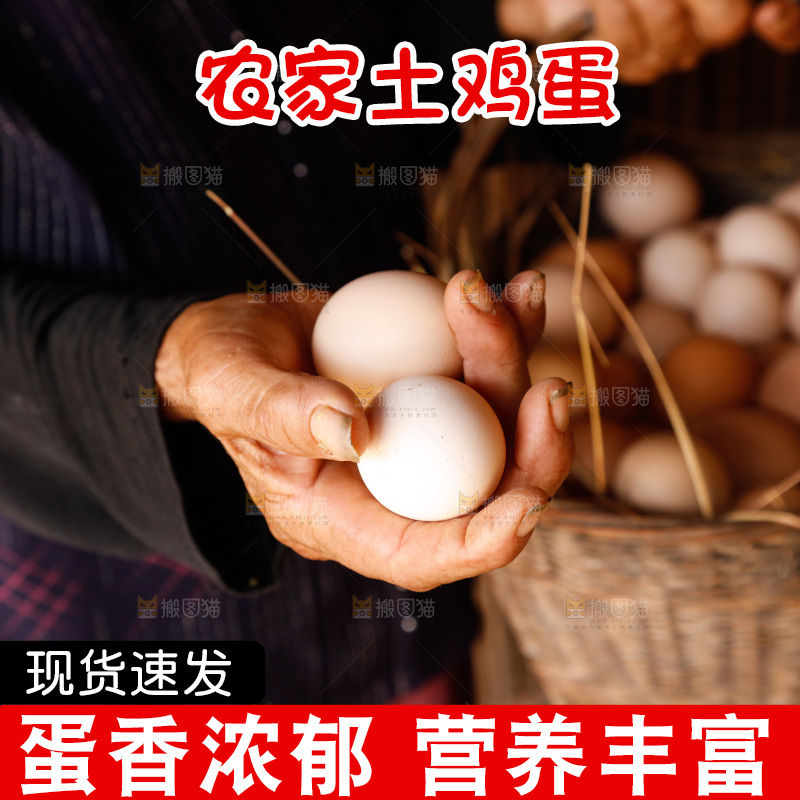 地上放着新鲜土鸡蛋