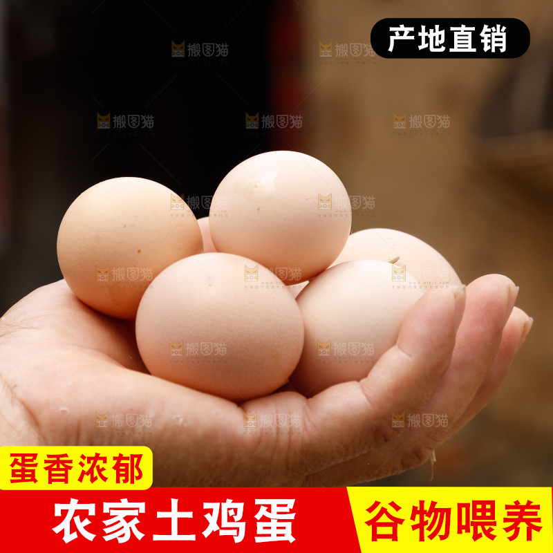 手里拿着土鸡蛋