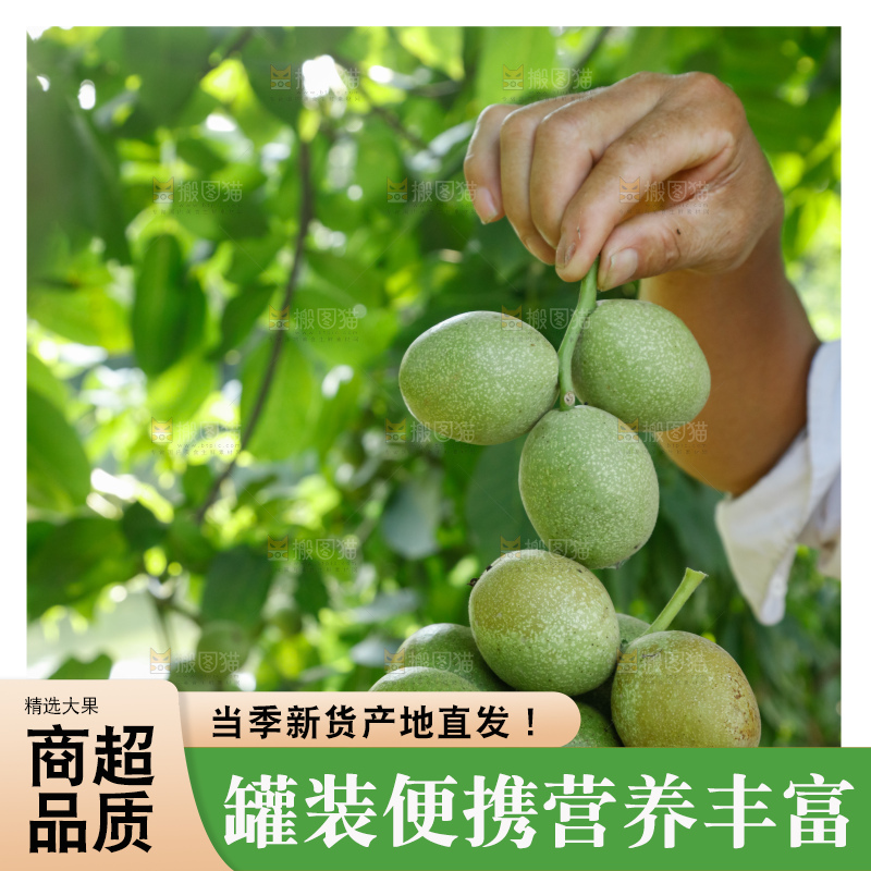 手里拿着青核桃