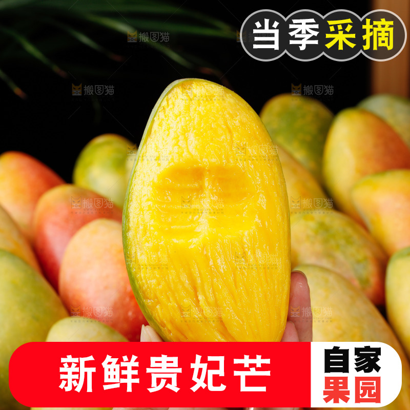 深底上的贵妃芒