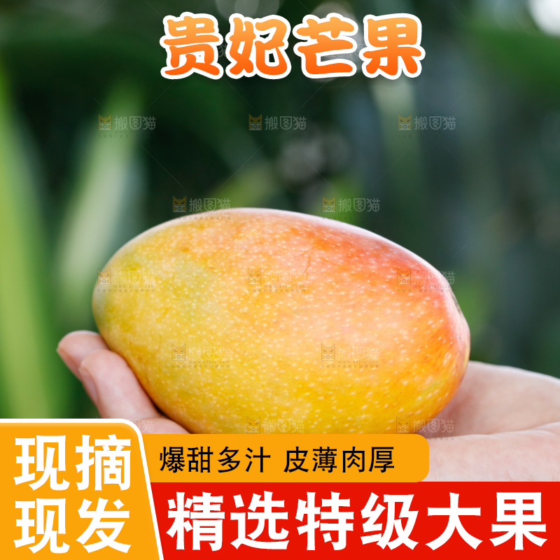 手里拿着贵妃芒