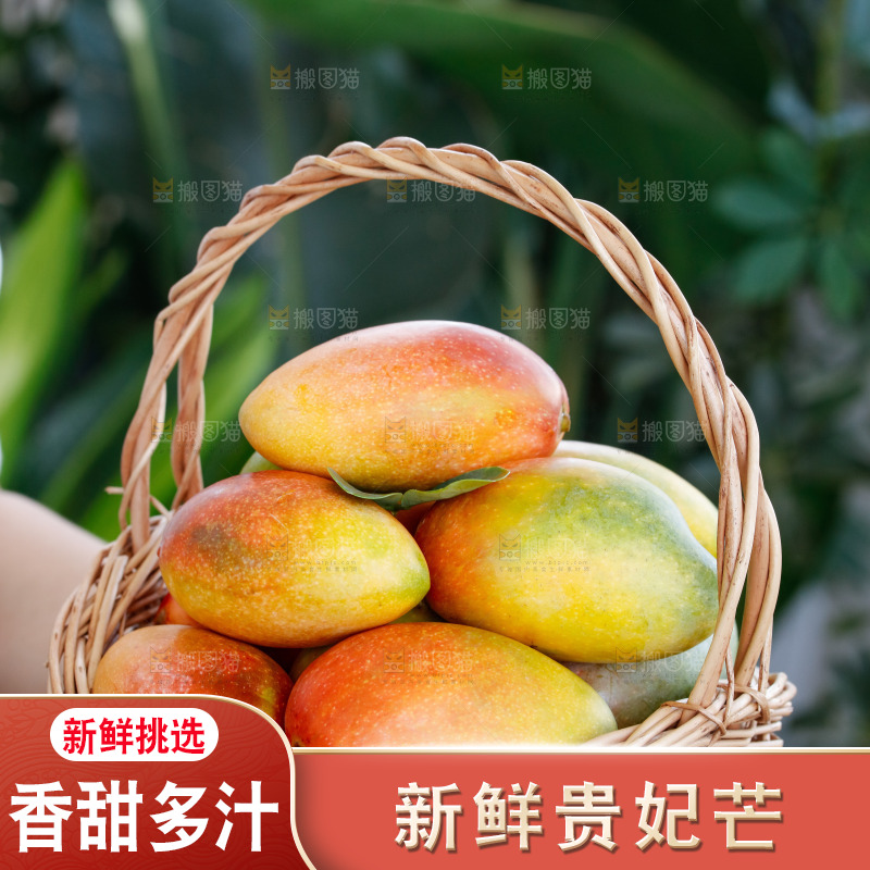 手里拿着贵妃芒