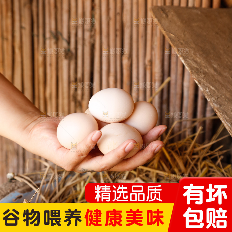 地上放着新鲜土鸡蛋