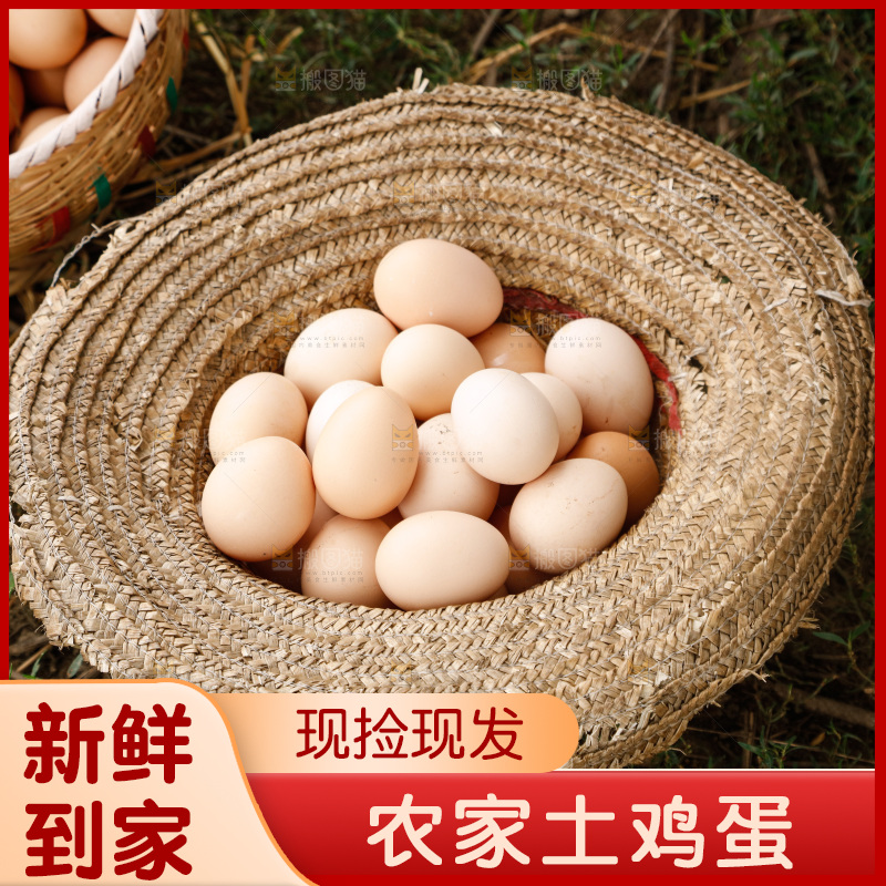 地上放着新鲜土鸡蛋