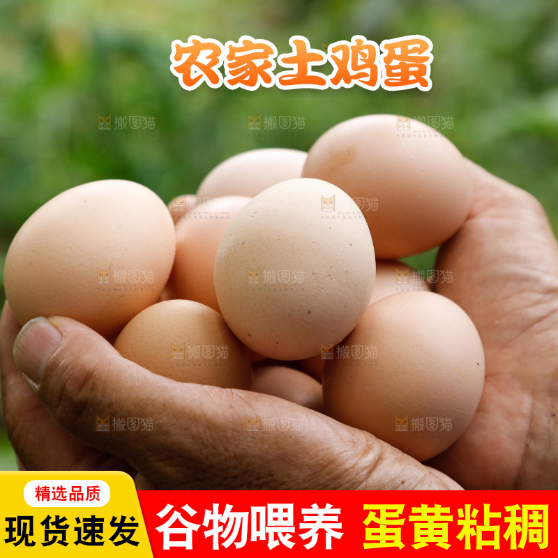 地上放着新鲜土鸡蛋