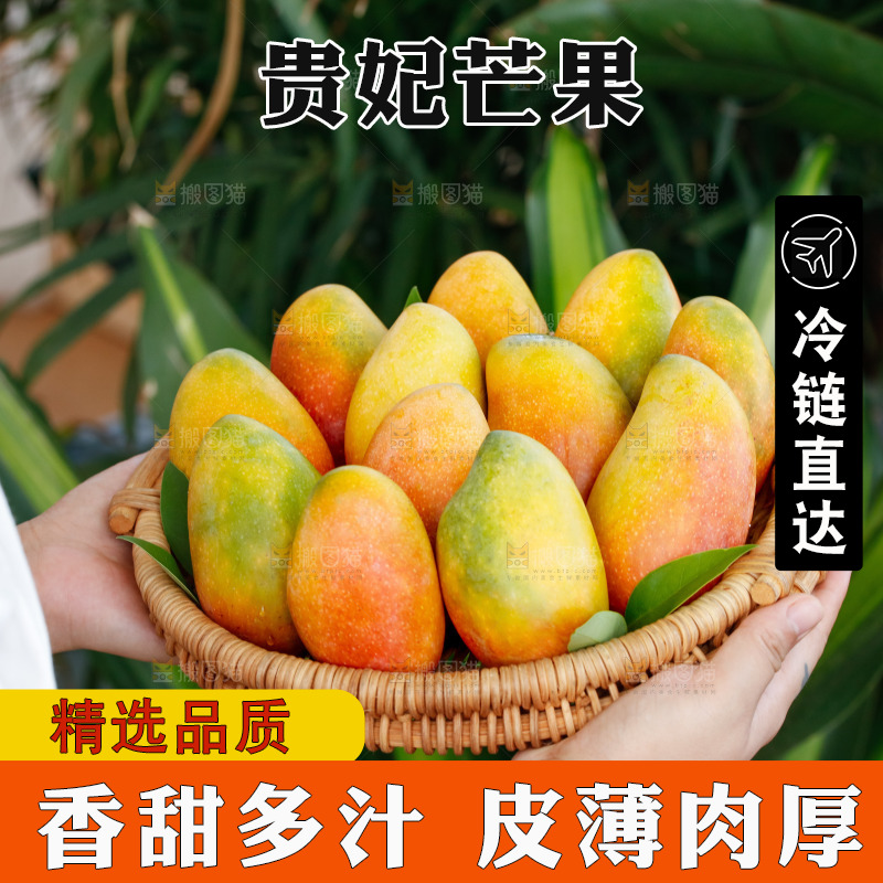 手里拿着贵妃芒