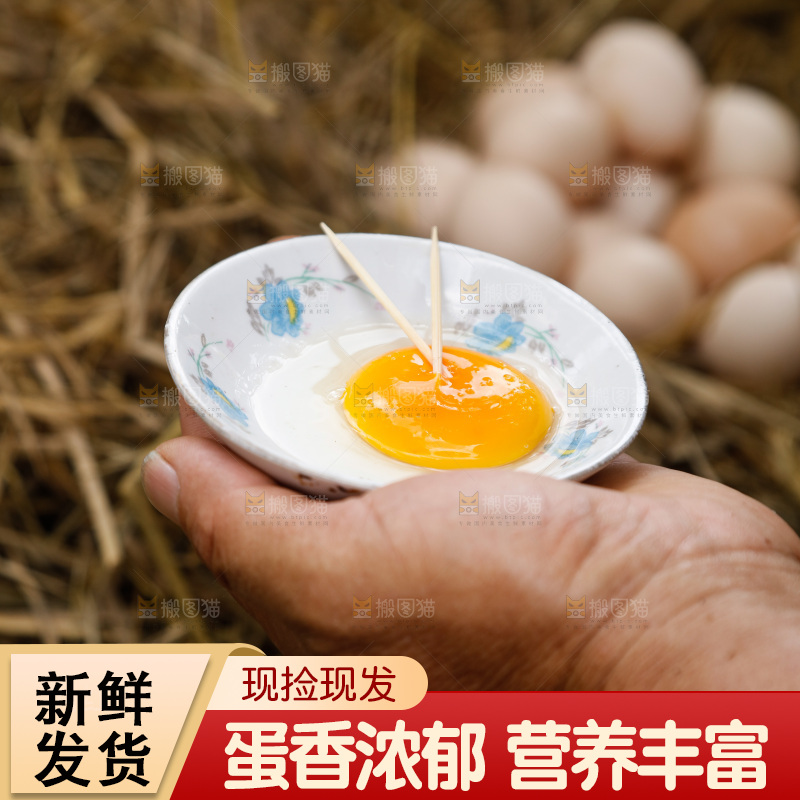地上放着新鲜土鸡蛋