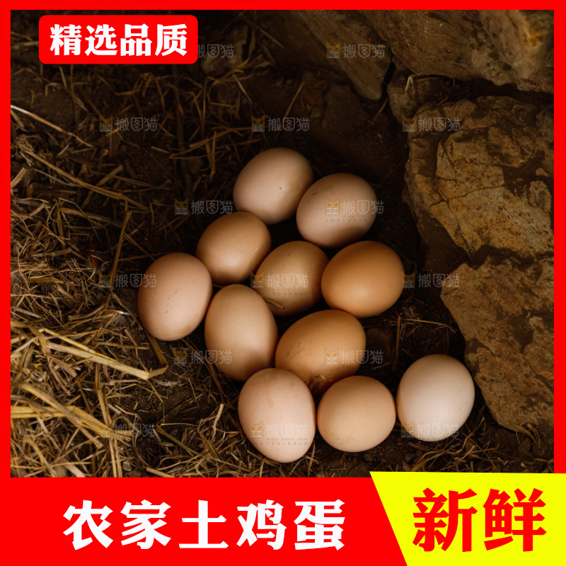 地上放着新鲜土鸡蛋