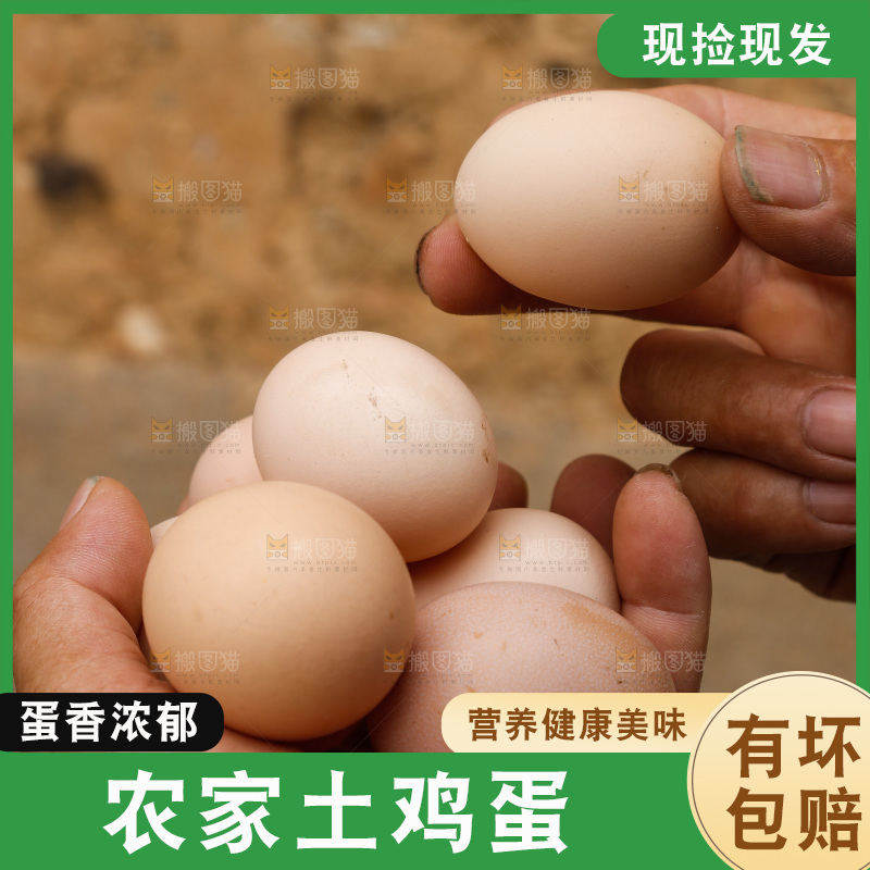 手里拿着土鸡蛋