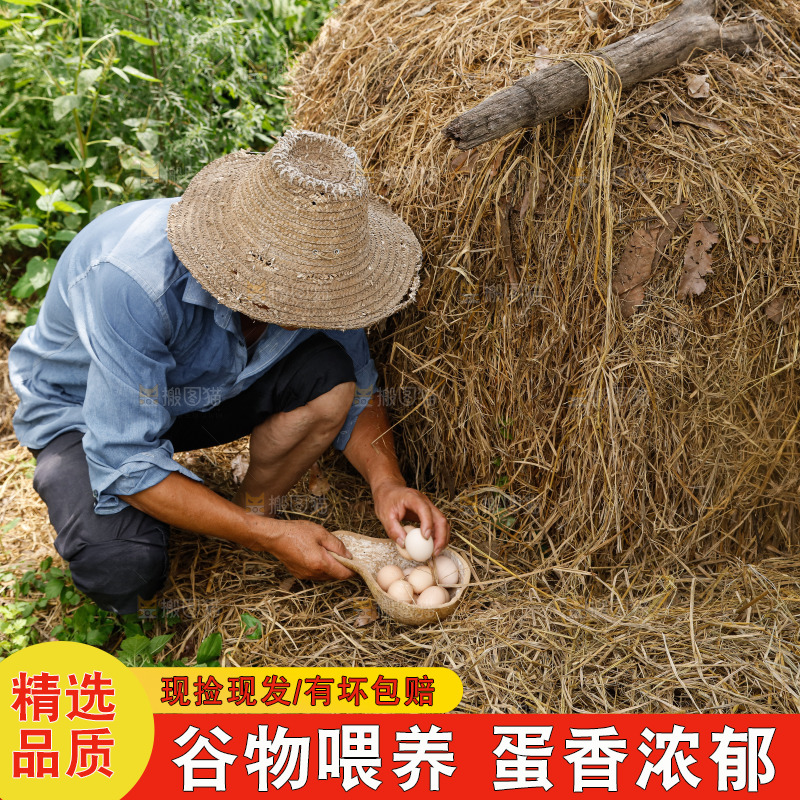 地上放着新鲜土鸡蛋