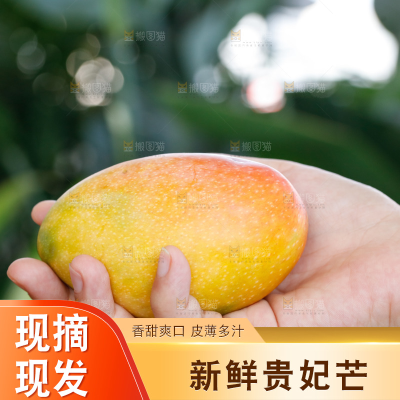 手里拿着贵妃芒