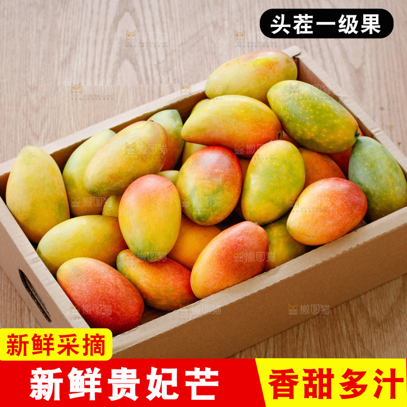 深底上的贵妃芒