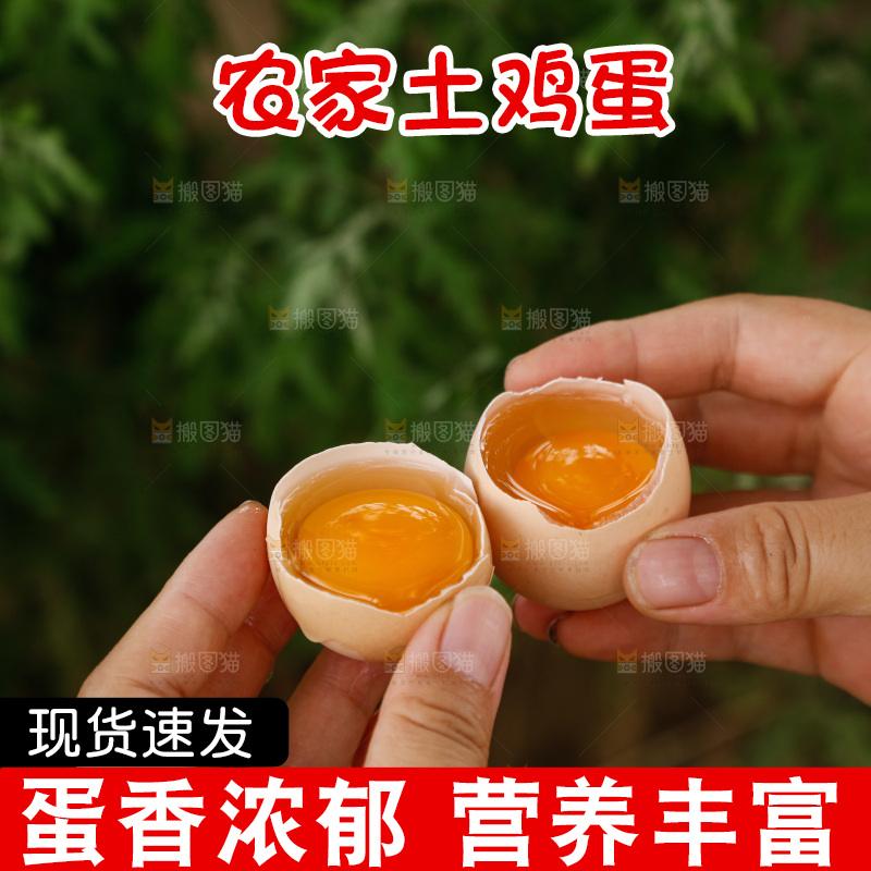 地上放着新鲜土鸡蛋