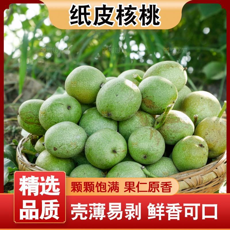 树上的新鲜青核桃