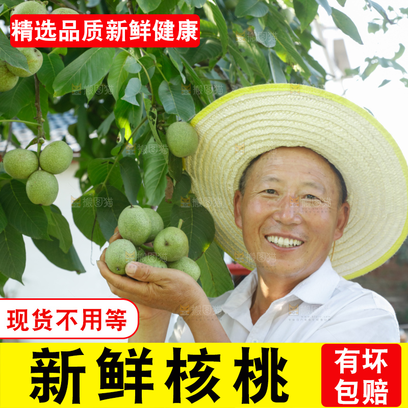 手里拿着青核桃