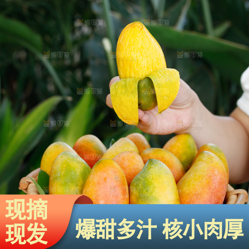 手里拿着贵妃芒