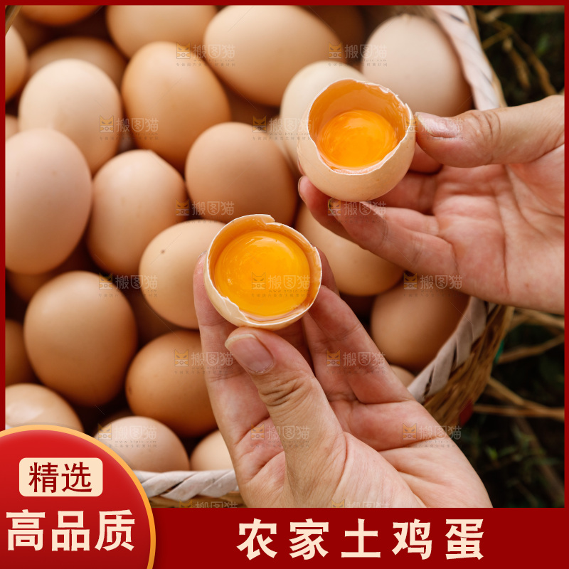 地上放着新鲜土鸡蛋