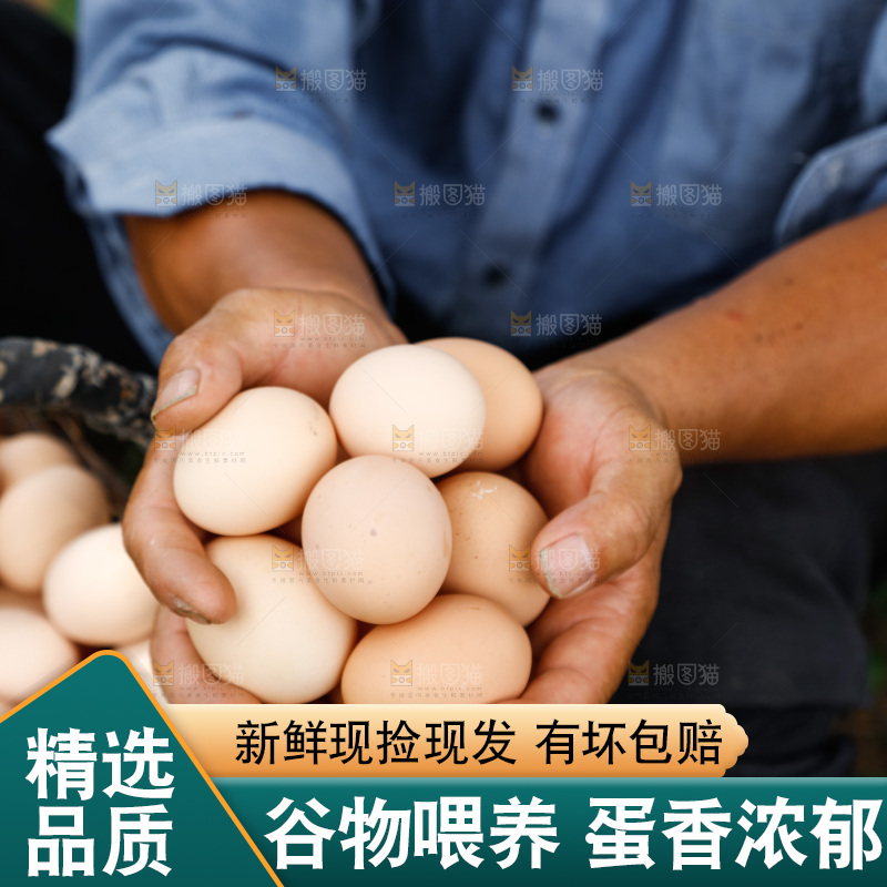 手里拿着土鸡蛋