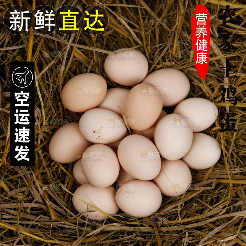地上放着新鲜土鸡蛋