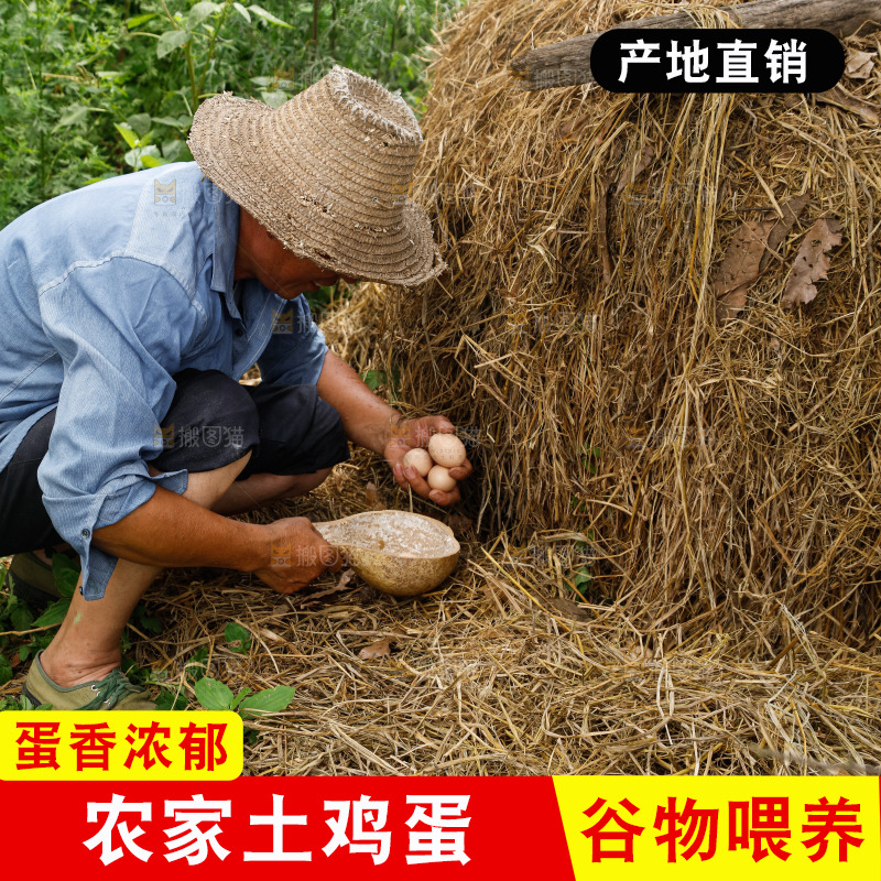 地上放着新鲜土鸡蛋