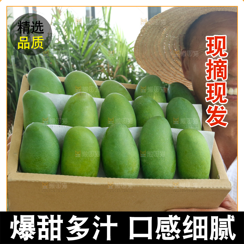 手里拿着椰香芒