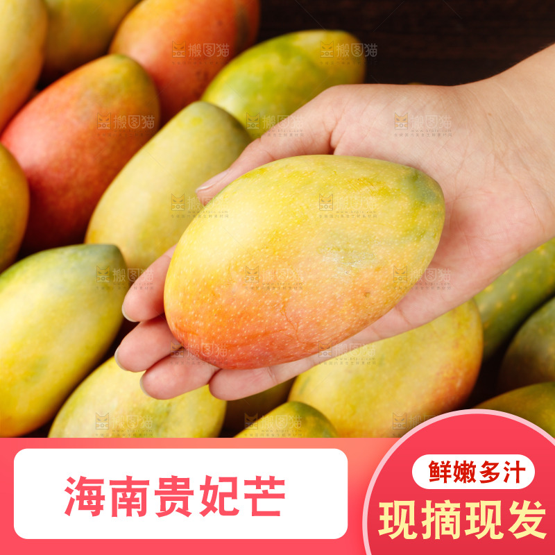 深底上的贵妃芒