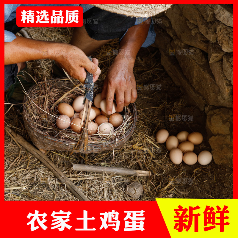 手里拿着土鸡蛋