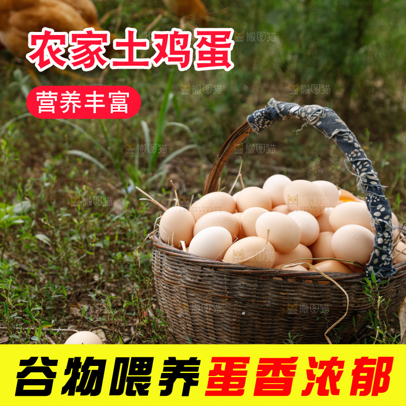 地上放着新鲜土鸡蛋