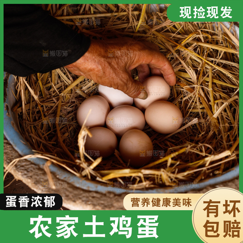 地上放着新鲜土鸡蛋