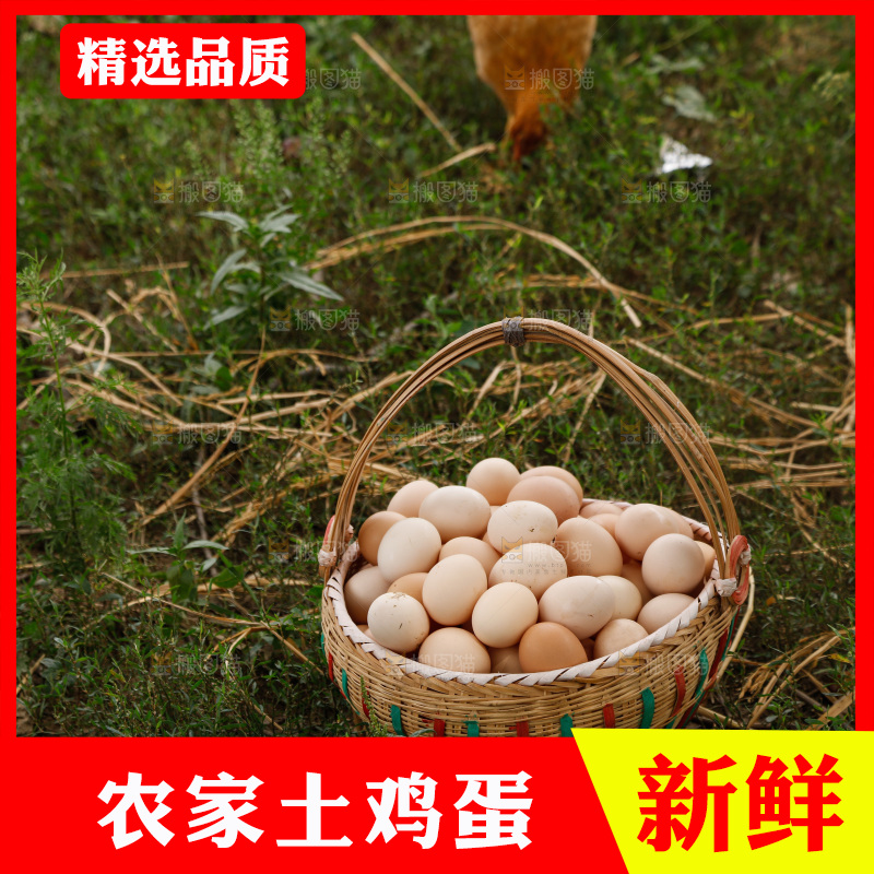 地上放着新鲜土鸡蛋