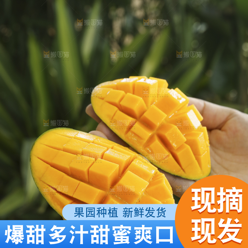 手里拿着椰香芒