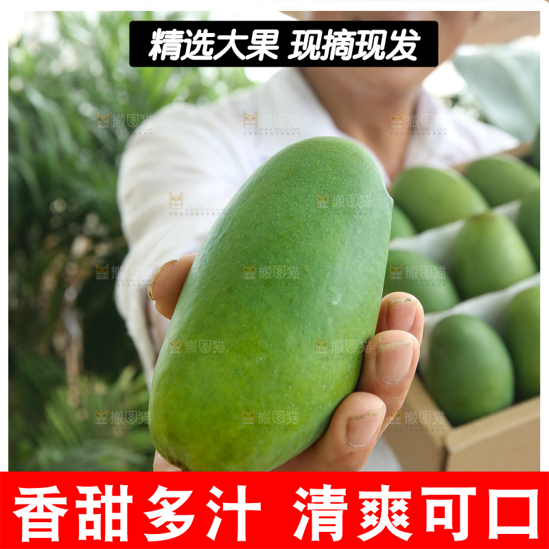 手里拿着椰香芒