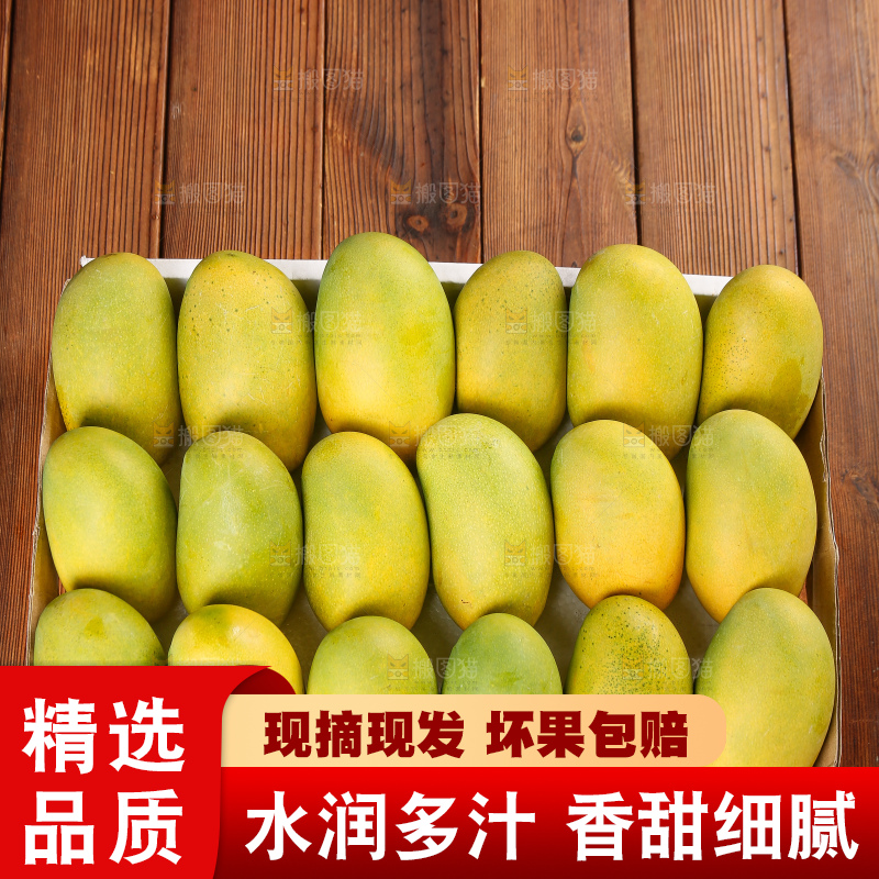 深底上的椰香芒