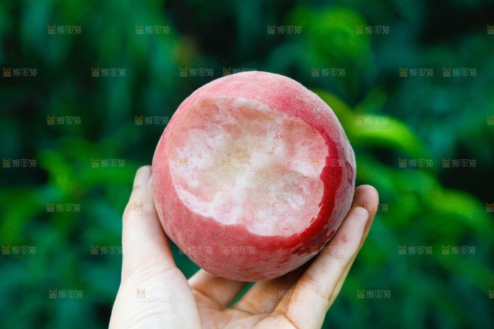 手里拿着苹果桃