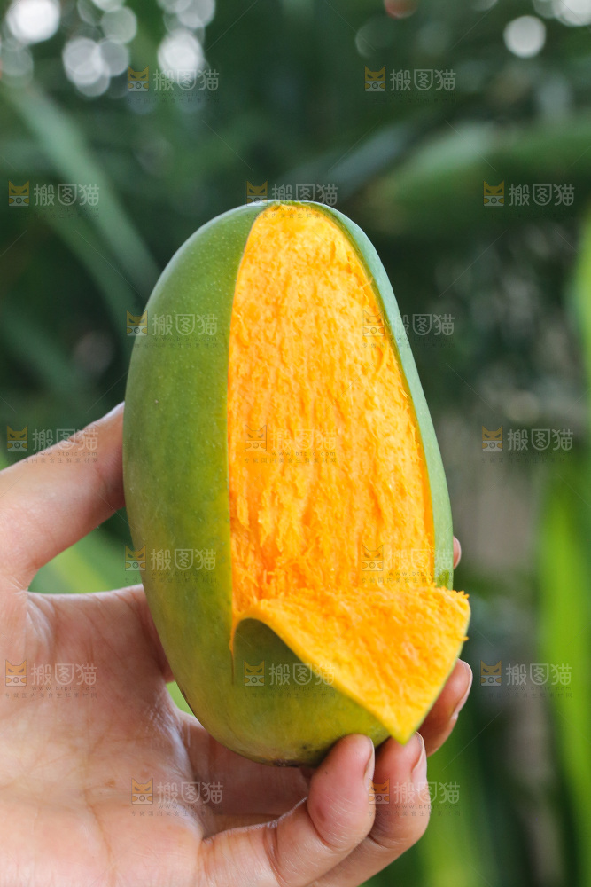 手里拿着椰香芒