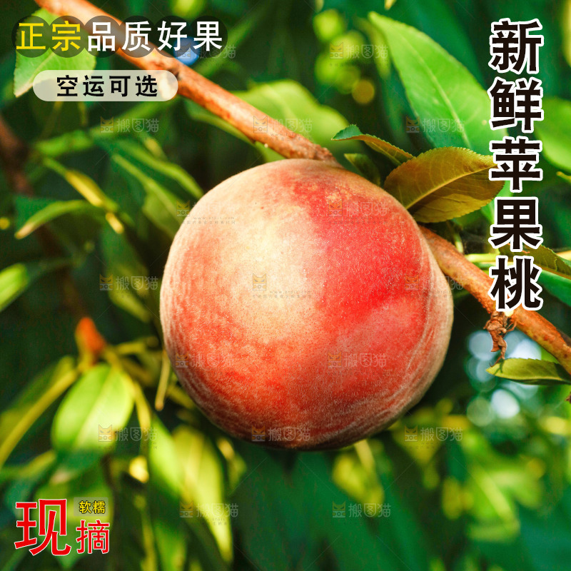 树上的新鲜脆桃