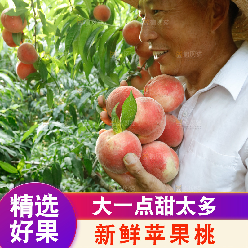 手里拿着苹果桃