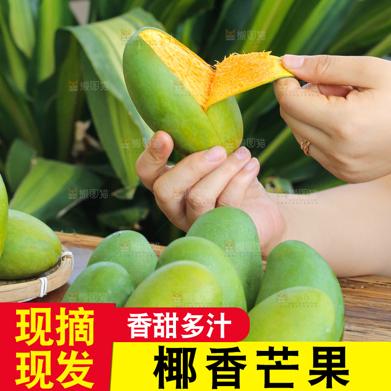 手里拿着椰香芒