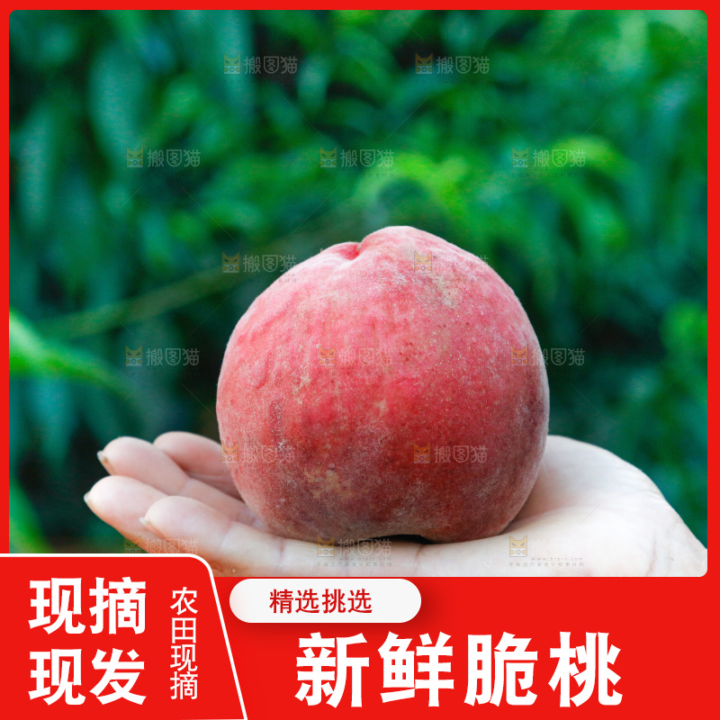 手里拿着苹果桃
