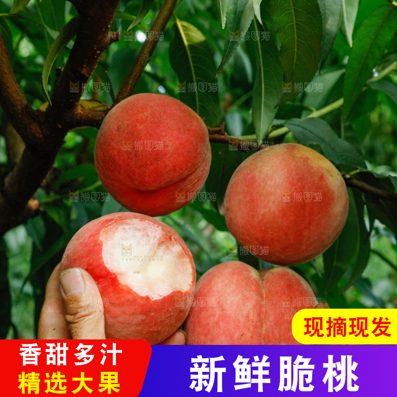 手里拿着苹果桃