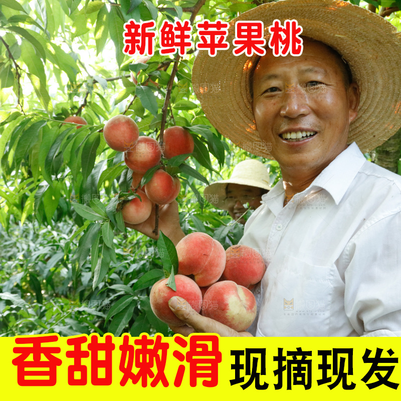 手里拿着苹果桃