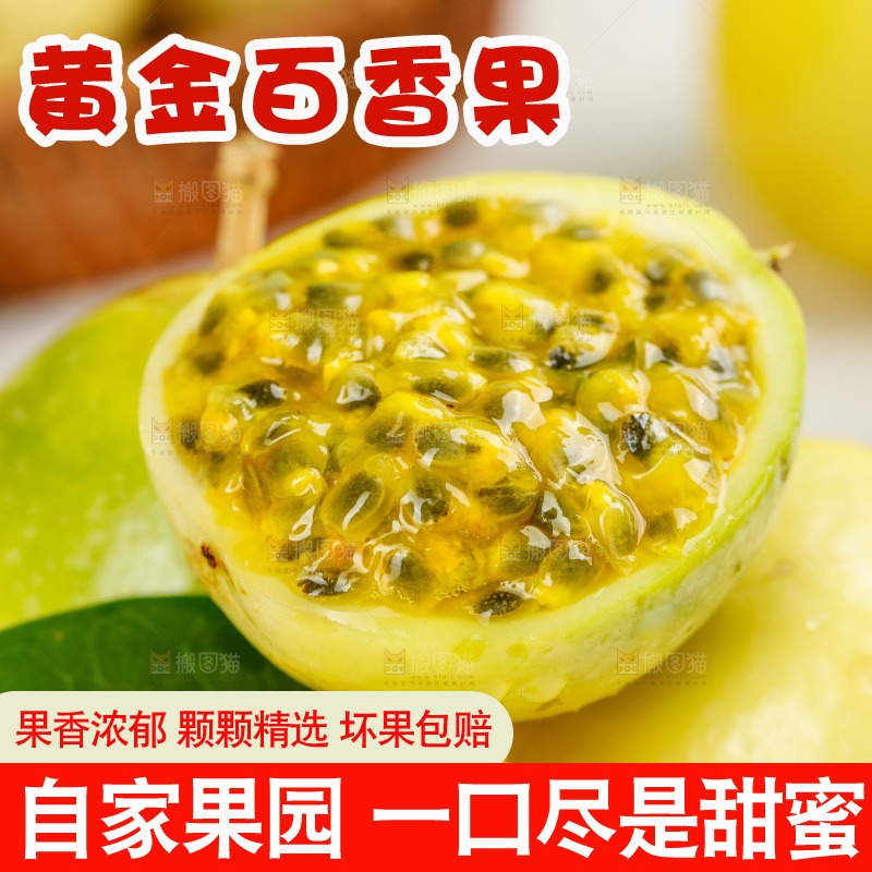 浅底上的黄金百香果