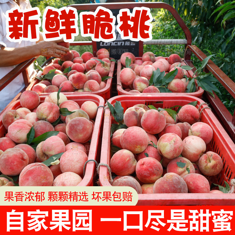 手里拿着苹果桃