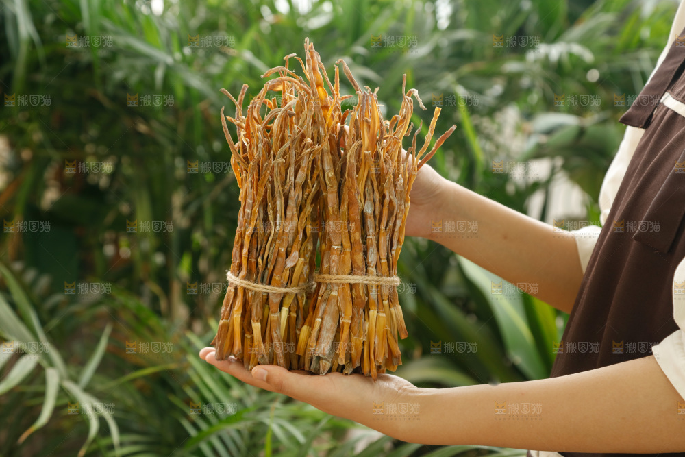 手里拿着小笋干