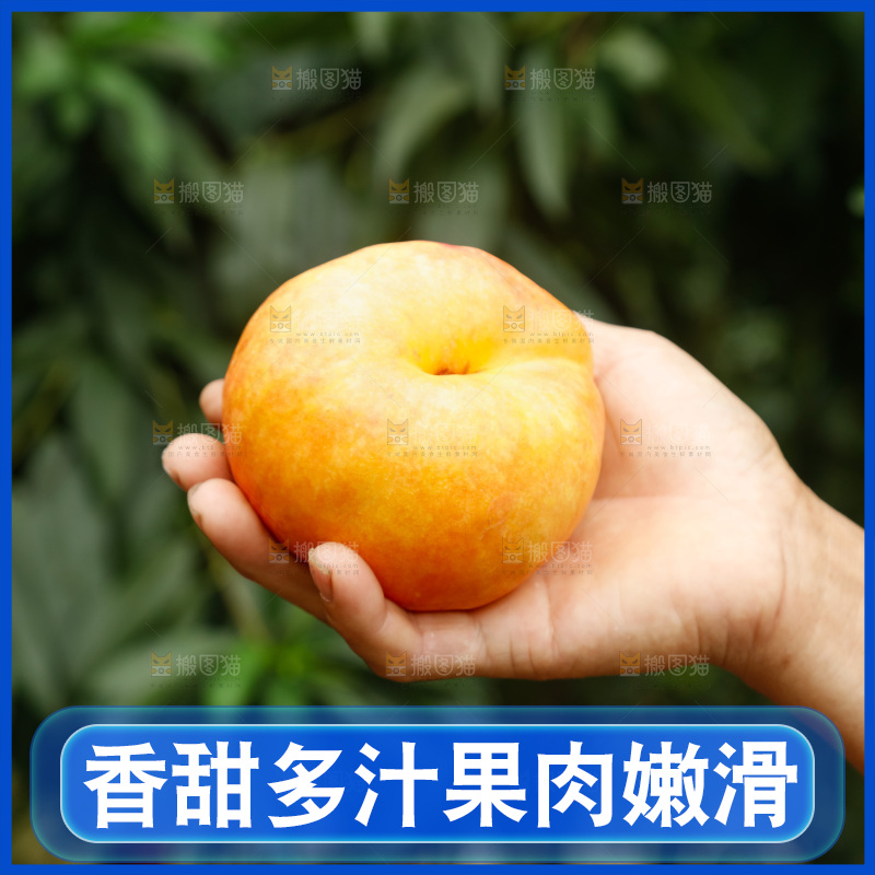 手里拿着黄油蟠桃