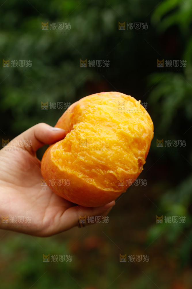深底上的黄油蟠桃
