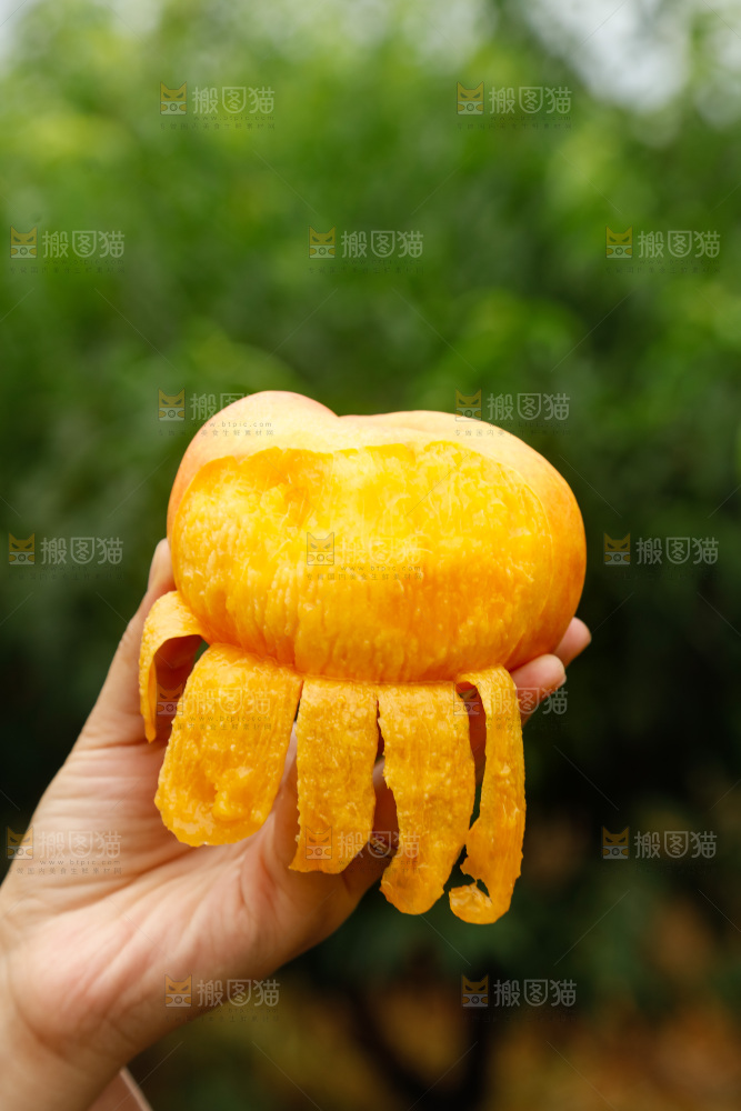 手里拿着黄油蟠桃