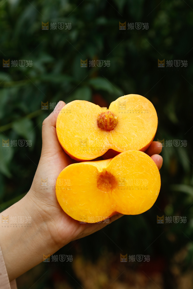 手里拿着黄油蟠桃