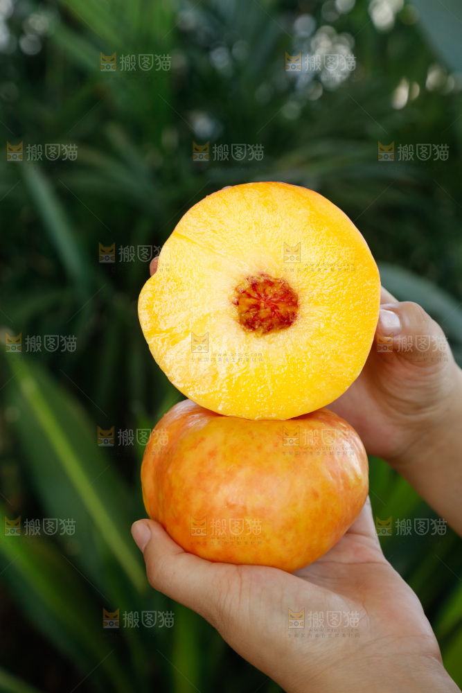 深底上的黄油蟠桃