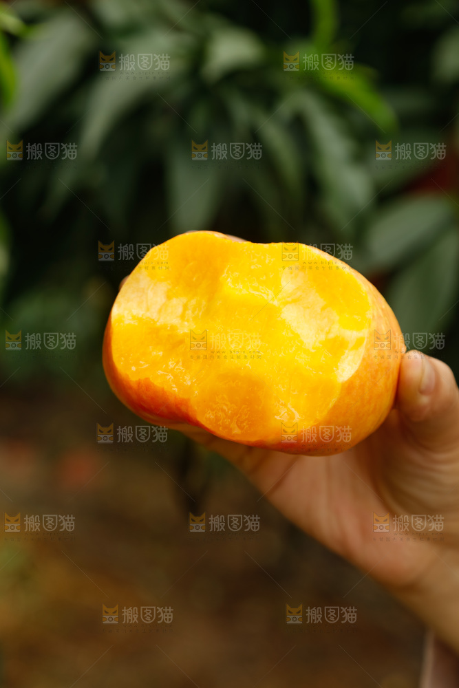 深底上的黄油蟠桃